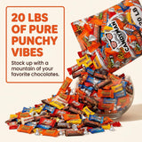 CANDYMAN Bulk Chocolate Candy Variety Pack, Individually Wrapped, 20 lb