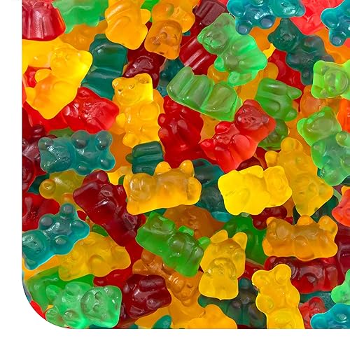 Gummi Bears - 1 Pound Pack - Gummy Candy - Assorted Fruit Flavors - Chewy Candy for Parties, Snacking, and Goodie Bags - Classic Gummies - Lunchbox