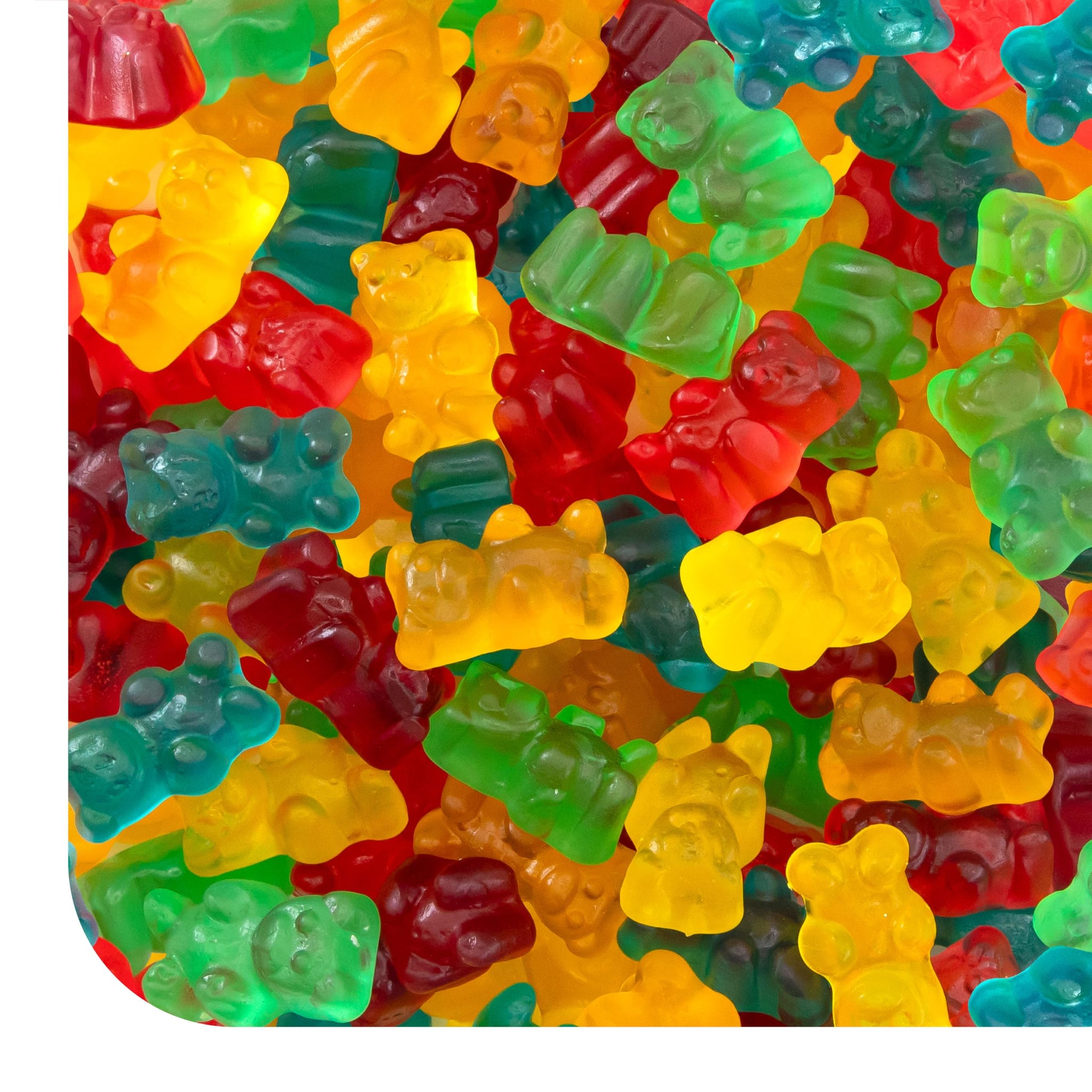 Gummi Bears - 1 Pound Pack - Gummy Candy - Assorted Fruit Flavors - Chewy Candy for Parties, Snacking, and Goodie Bags - Classic Gummies - Lunchbox