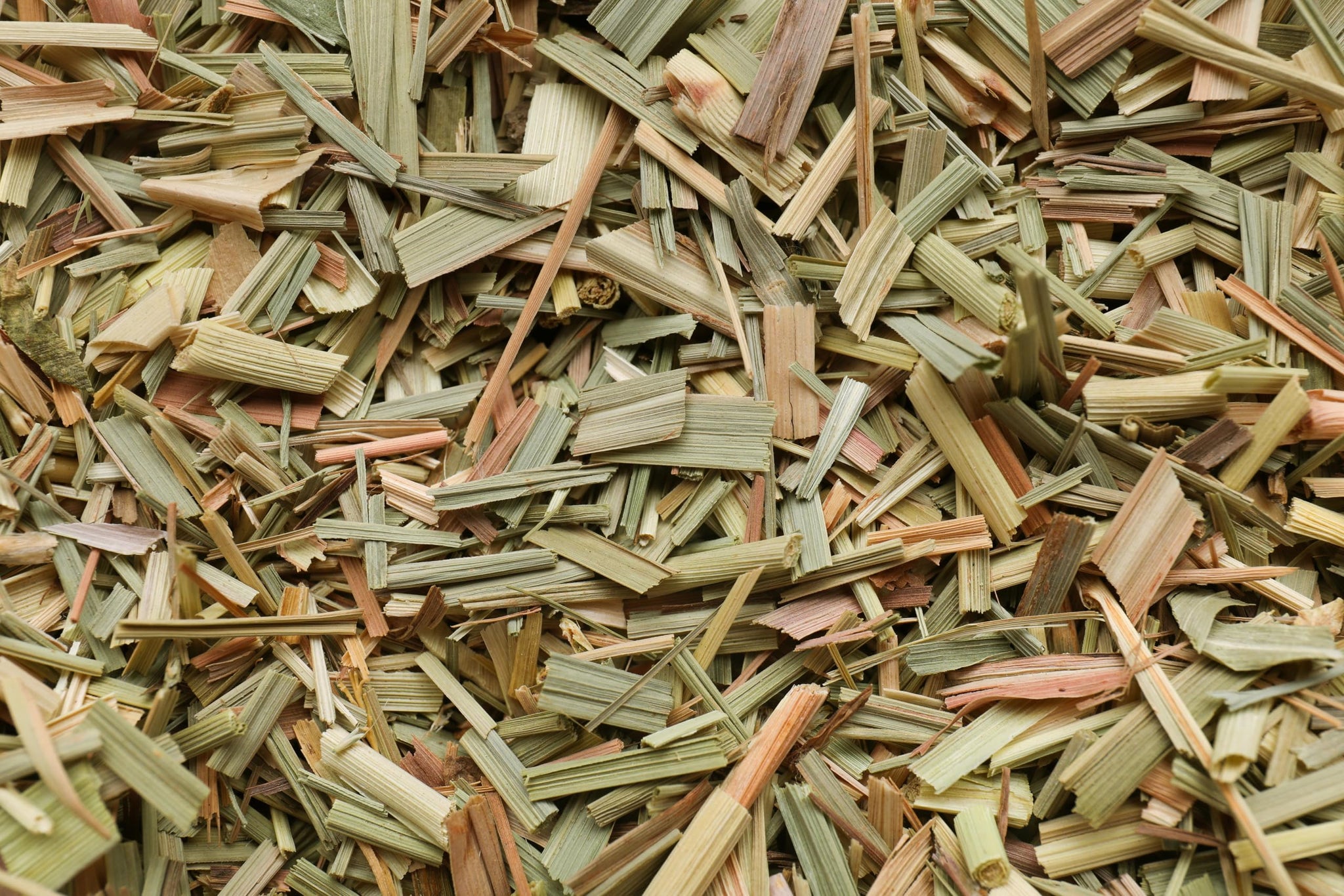 Lemongrass Tea 1 LB (16Oz) | 100% USDA Certified Organic |Cut and Sifted Loose Leaf LemonGrass Tea & Seasoning | Aroma Rich Egypt Lemongrass