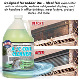 Nature's Freedom Indoor AC Coil Cleaner with Hose End Sprayer - 1 Gallon