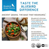 Bluebird Grain Farms Organic Whole Grain Emmer Farro, 5 Lb.