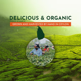tekola Tea Co. - Organic Black tea. Premium Blend, Processed and Packed in Ceylon, Black Tea Loose Leaf Robust and Flavorful (Organic Black Tea 16