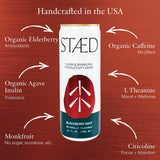 STAED Organic Energy Drinks, Clean Natural Productivity Drink with Cognizin® Citicoline & L-Theanine, Sparkling Functional Beverage, Clean Caffeine