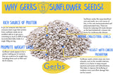 Gerbs Raw Sunflower Seed Kernels 14 oz. | No Artificial Additives, Resealable Bag | Mild & Crunchy | Top 14 Allergen-Free