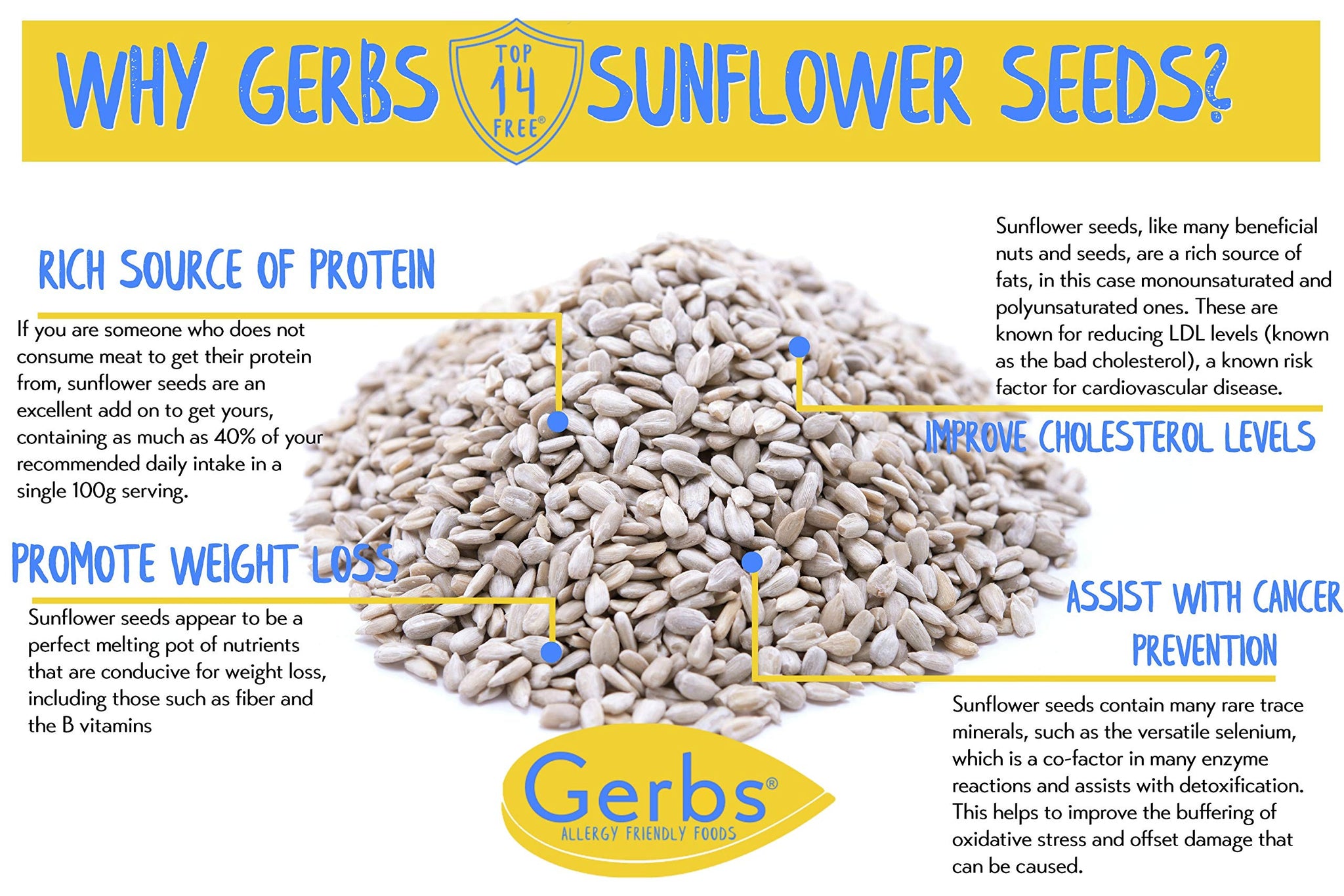 Gerbs Raw Sunflower Seed Kernels 14 oz. | No Artificial Additives, Resealable Bag | Mild & Crunchy | Top 14 Allergen-Free
