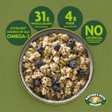 Nature's Path Organic Pumpkin Seed + Flax Granola, 24.7 oz (Pack of 1), Non-GMO