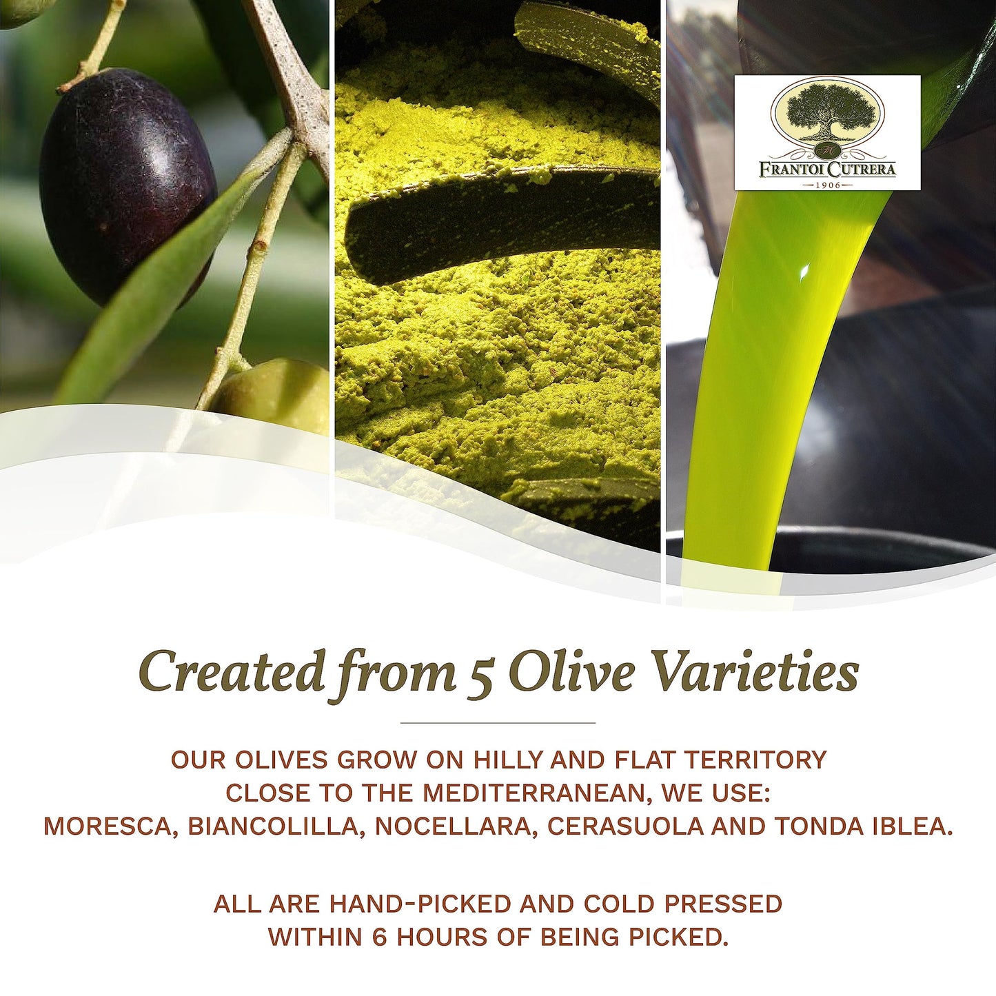 Frantoi Cutrera - Selezione - Extra Virgin Olive Oil from Italy, Sicilian Pure EVOO, Premium 2022/23 Early Harvest First Cold Pressed, Olive Oil High in Polyphenols, 24.5 Fl Oz (Pack of 1)