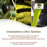 Frantoi Cutrera - Selezione - Extra Virgin Olive Oil from Italy, Sicilian Pure EVOO, Premium 2022/23 Early Harvest First Cold Pressed, Olive Oil High in Polyphenols, 24.5 Fl Oz (Pack of 1)
