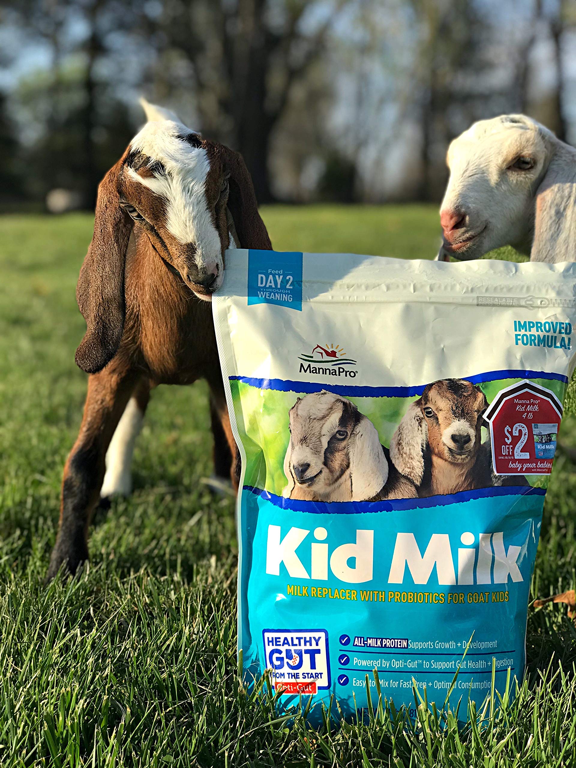 Manna Pro Goat Kid Milk Replacer, High in Protein to Support Growth, Powered by Opti-Gut to Support Gut Health & Digestion, Easy-to-Mix Formula, 4 lbs