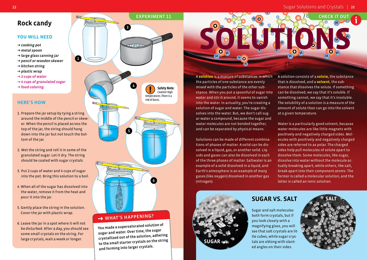 Thames & Kosmos Candy Chemistry | Science Kit | Rock Candy, Chocolates, Gummy Bears, Wintergreen Candies | 48 Page Full-Color Manual | Ages 10+ |