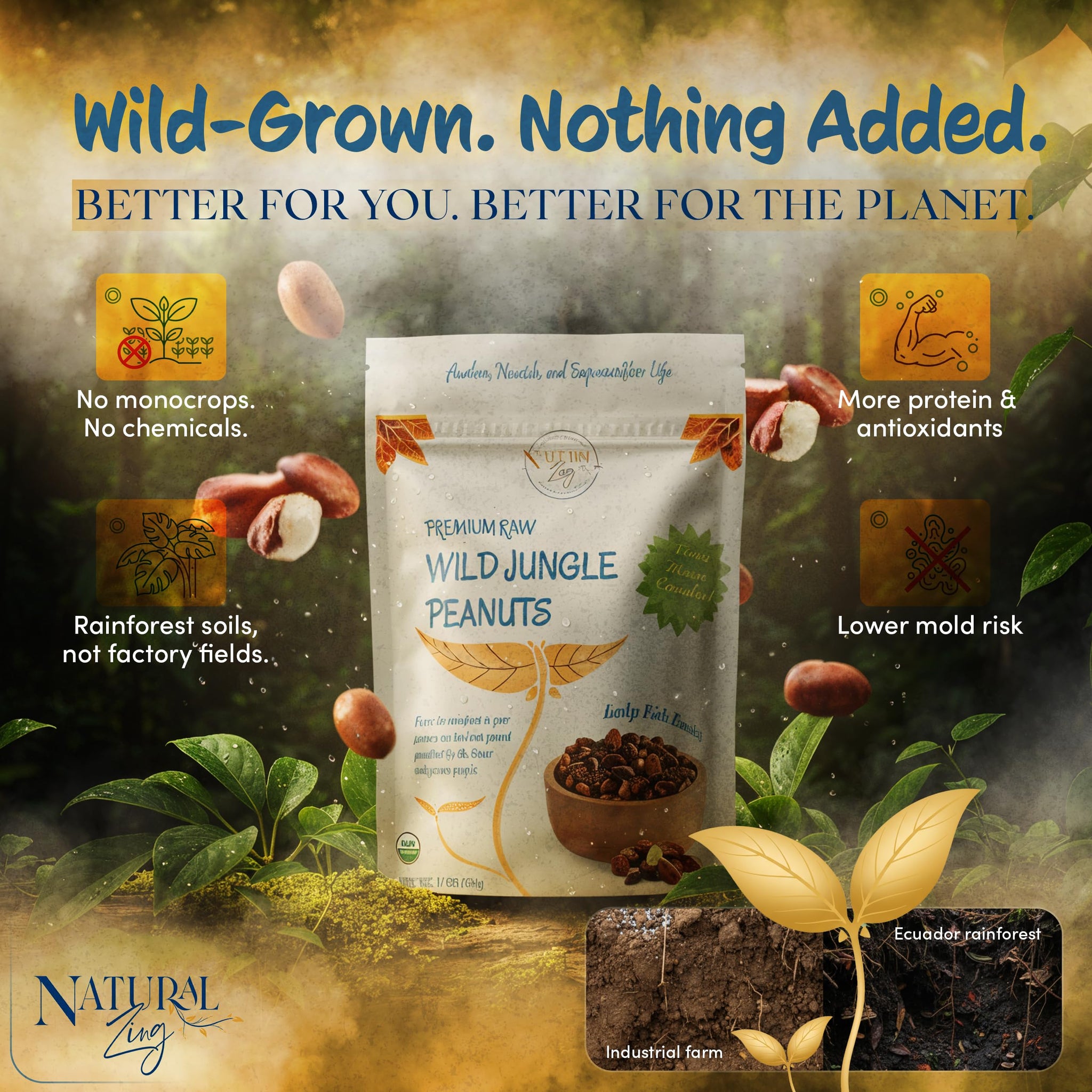 Natural Zing Wild Jungle Peanuts (Raw, Organic) | 16 oz, 16 Servings | Unique Heirloom Variety | True, Original Rare Form of the Peanut |