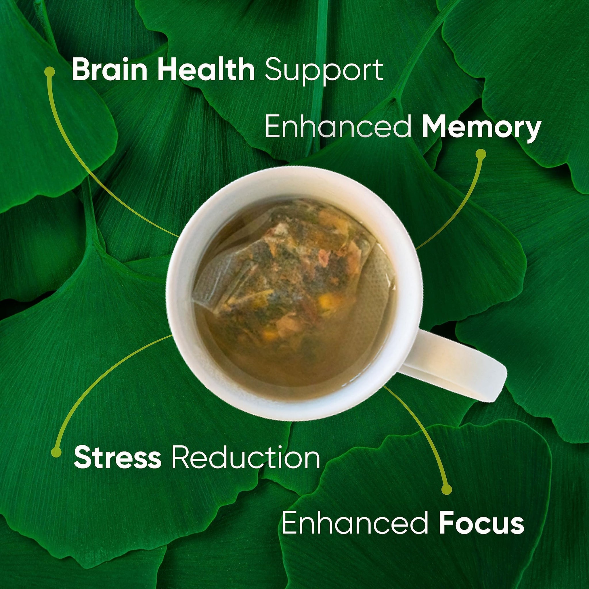 Brain Tea Focus & Memory - Brain Tea Organic Certified 4-in-1 Nootropic Herbal Supplement with Ginkgo Biloba, Gotu Kola, Lion’s Mane Mushroom, MCT