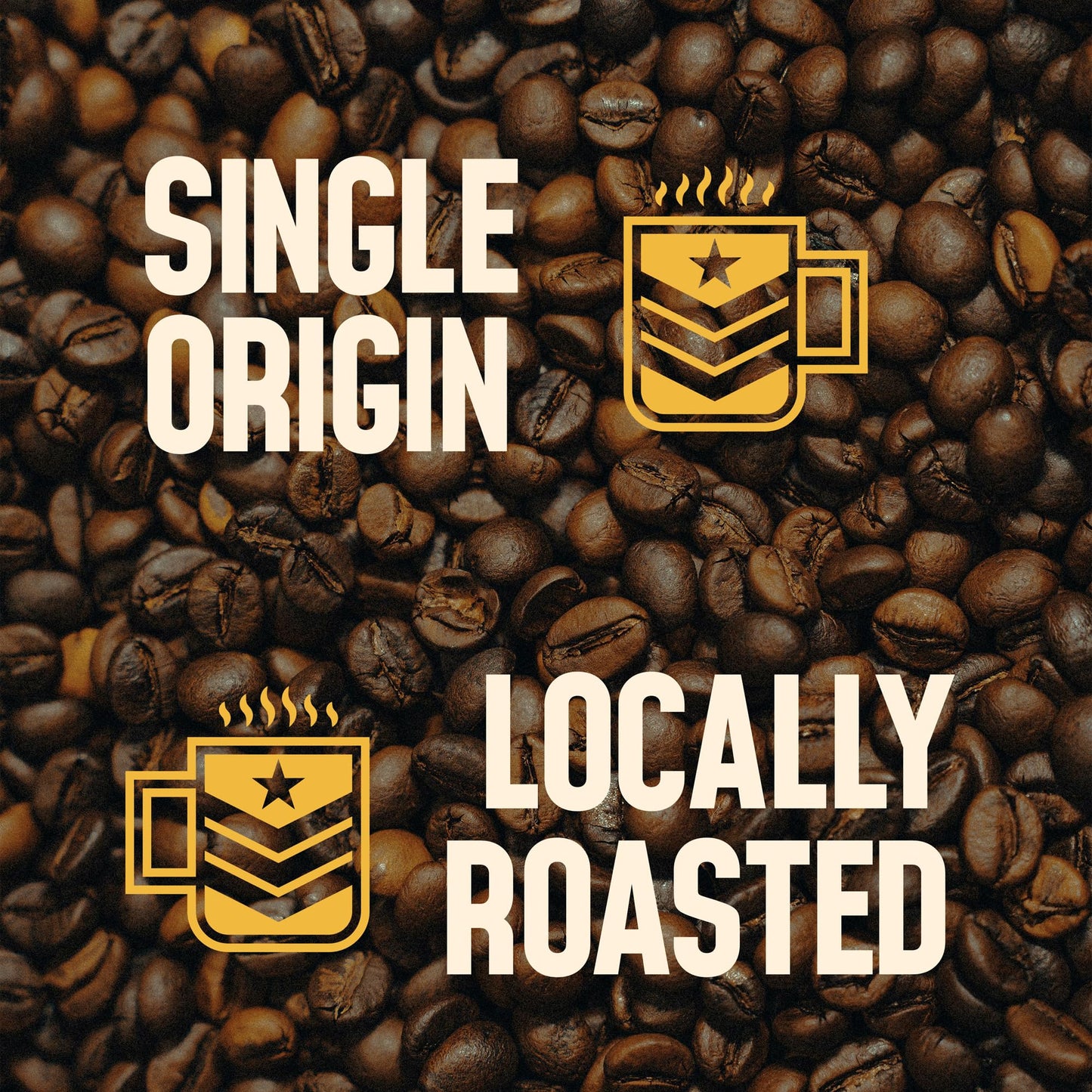 Brave Bean Coffee Company Launch Kit Sample Pack | 4-6oz Bags Specialty Whole Bean Coffee