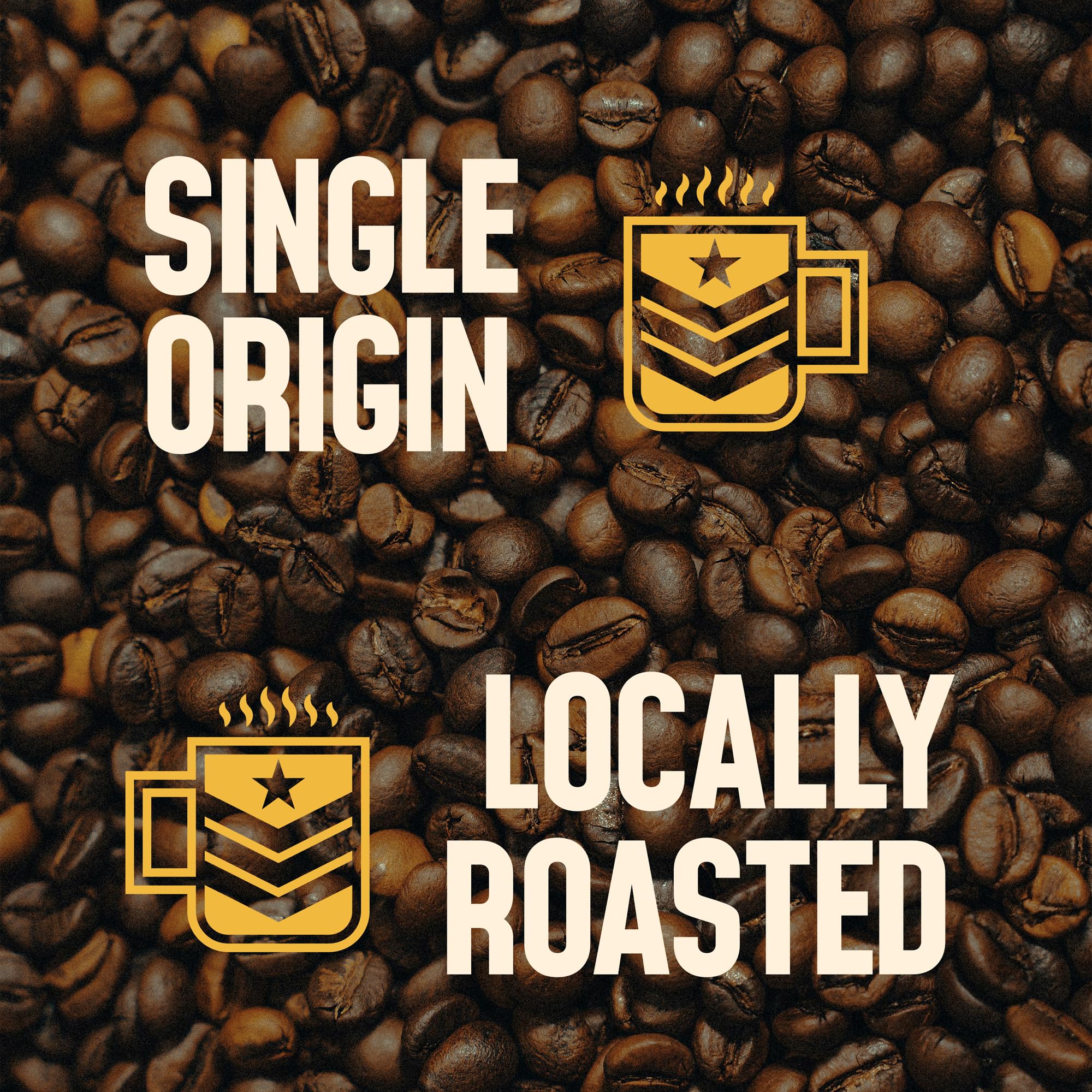 Brave Bean Coffee Company Launch Kit Sample Pack | 4-6oz Bags Specialty Whole Bean Coffee