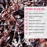 VITAMINSEA Irish Sea Moss Dried Seaweed | Wild North Atlantic Seaweed for Snacking, Seasoning, Soups & Salads | Rich in Vitamins, Minerals