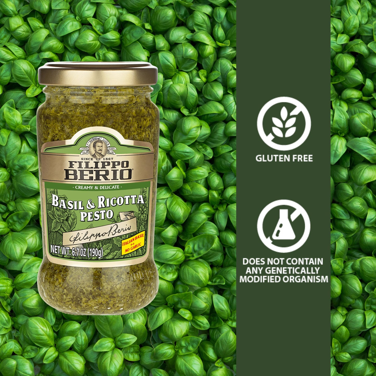 Filippo Berio Pesto, Basil & Ricotta, 6.7 Ounce Glass Jar, Gluten Free, Non-GMO