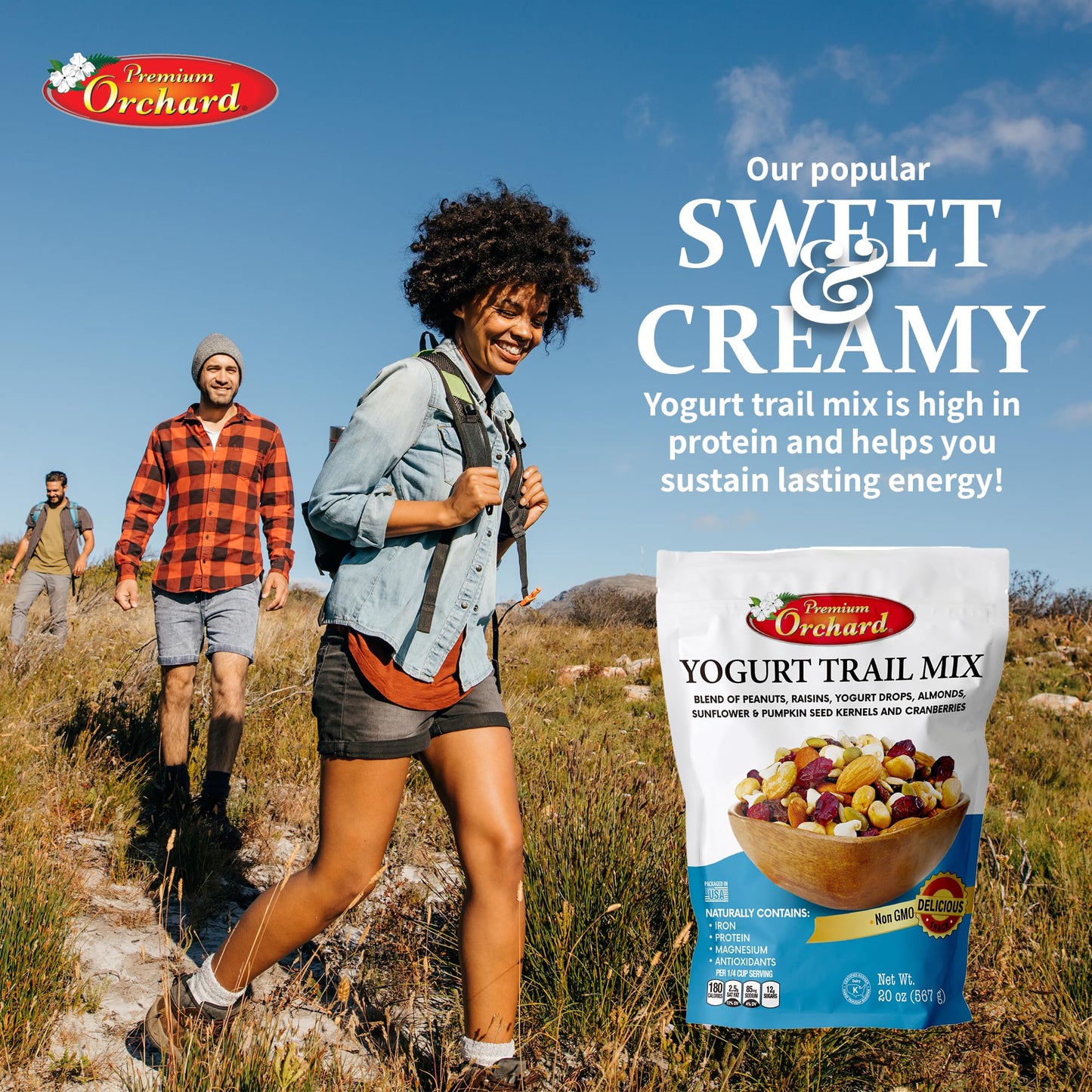 YOGURT TRAIL MIX BY PREMIUM ORCHARD - Seeds, Yogurt, Fruit and Nuts Mix - Trail Mix Bulk Blend of Mixed Nuts & Dried Fruit - Healthy Snacks, High
