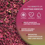 Worldwide Botanicals Organic Hibiscus Tea - 8 oz, Loose Leaf, Cut and Sifted - 100% Egyptian Hibiscus sabdariffa AKA Karkade, Roselle, Sorrel, Zobo