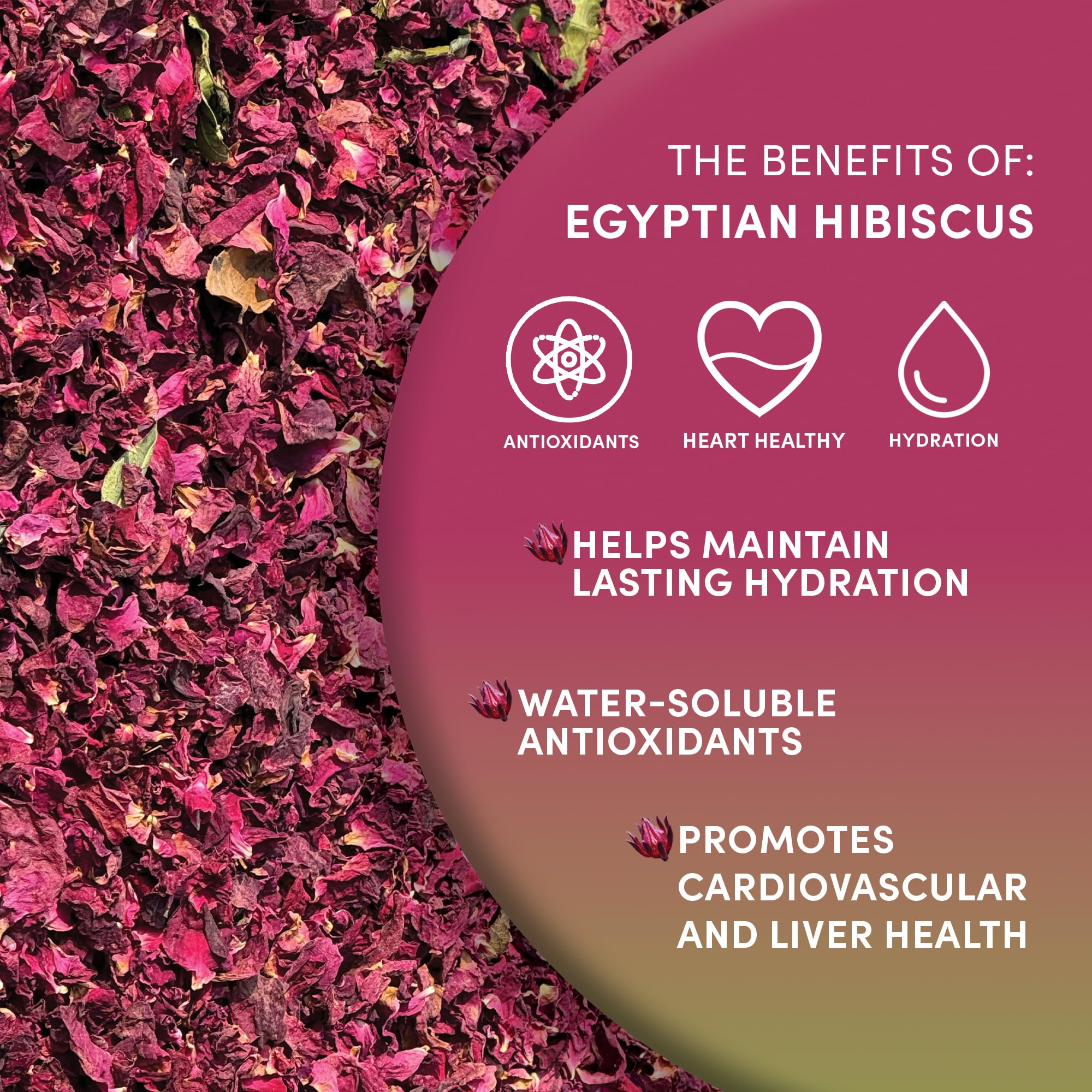 Worldwide Botanicals Organic Hibiscus Tea - 8 oz, Loose Leaf, Cut and Sifted - 100% Egyptian Hibiscus sabdariffa AKA Karkade, Roselle, Sorrel, Zobo