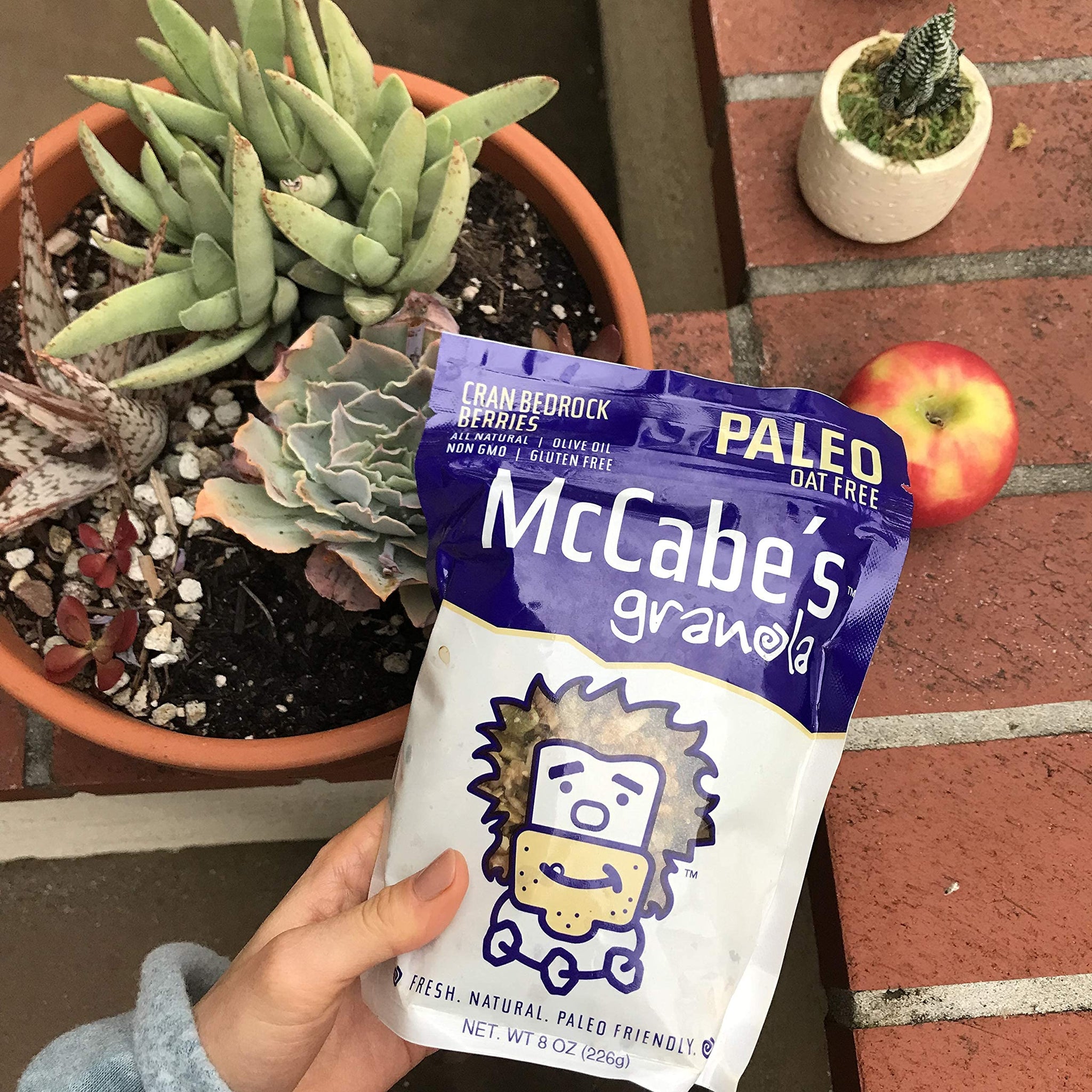 McCabe's Paleo Granola | Naturally Sweetened, All Natural, Non GMO, Gluten Free, Keto (Cran Bedrock Berries - 8 oz)