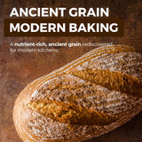KAMUT Flour (3 lb) Whole Wheat Flour, Great for Whole Grain Bread and Baking, All-Natural, USDA Organic, OU Kosher Certified, Milled from Ancient