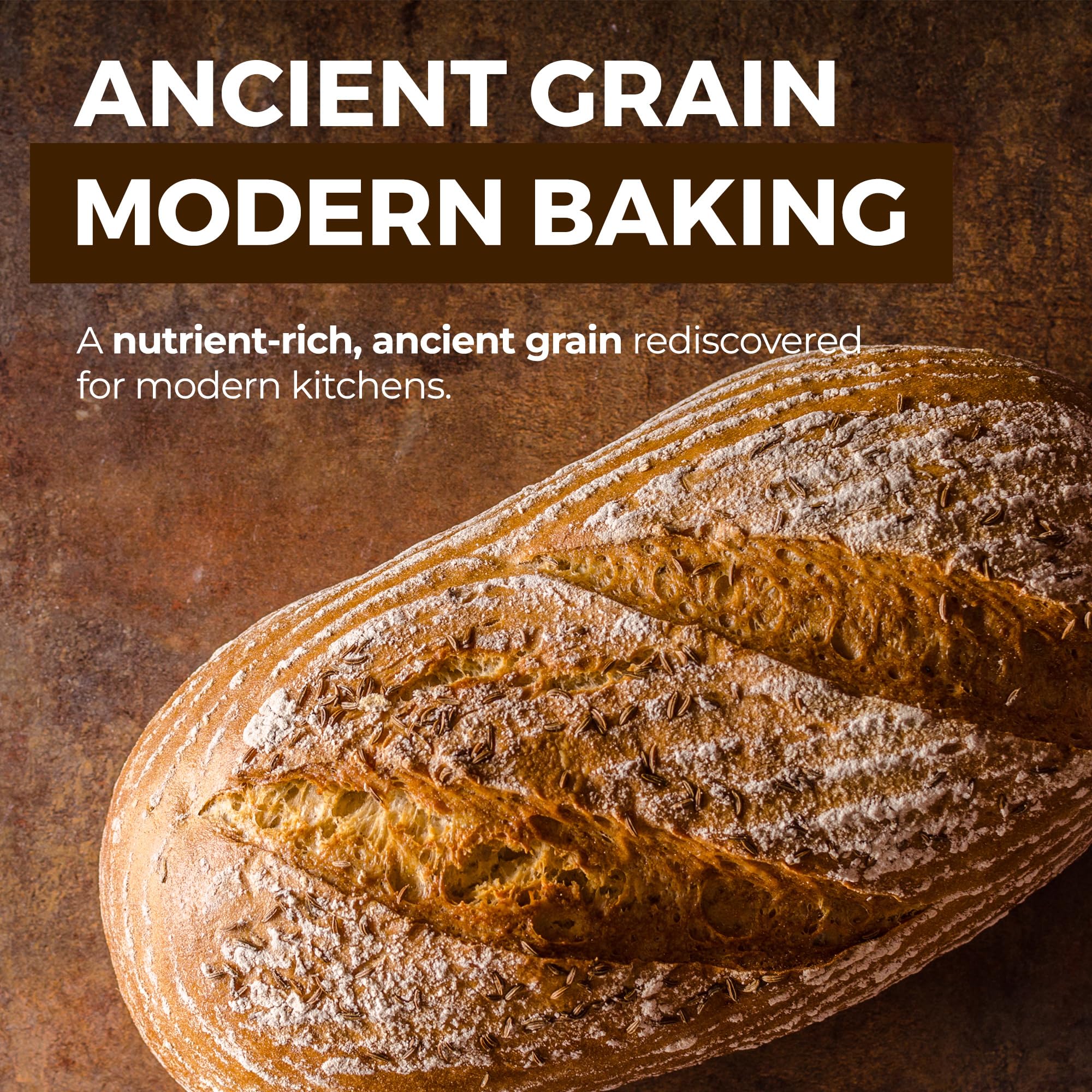 KAMUT Flour (3 lb) Whole Wheat Flour, Great for Whole Grain Bread and Baking, All-Natural, USDA Organic, OU Kosher Certified, Milled from Ancient