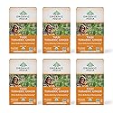 ORGANIC INDIA Tulsi Turmeric Ginger Herbal Tea - Stress Relieving & Harmonizing, Immune Support, Aids Digestion, Vegan, Caffeine-Free - 18 Infusion