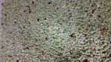 Unroasted Coffee Beans Single Origin Colombian Fram Los Pirineos (5 Lb)