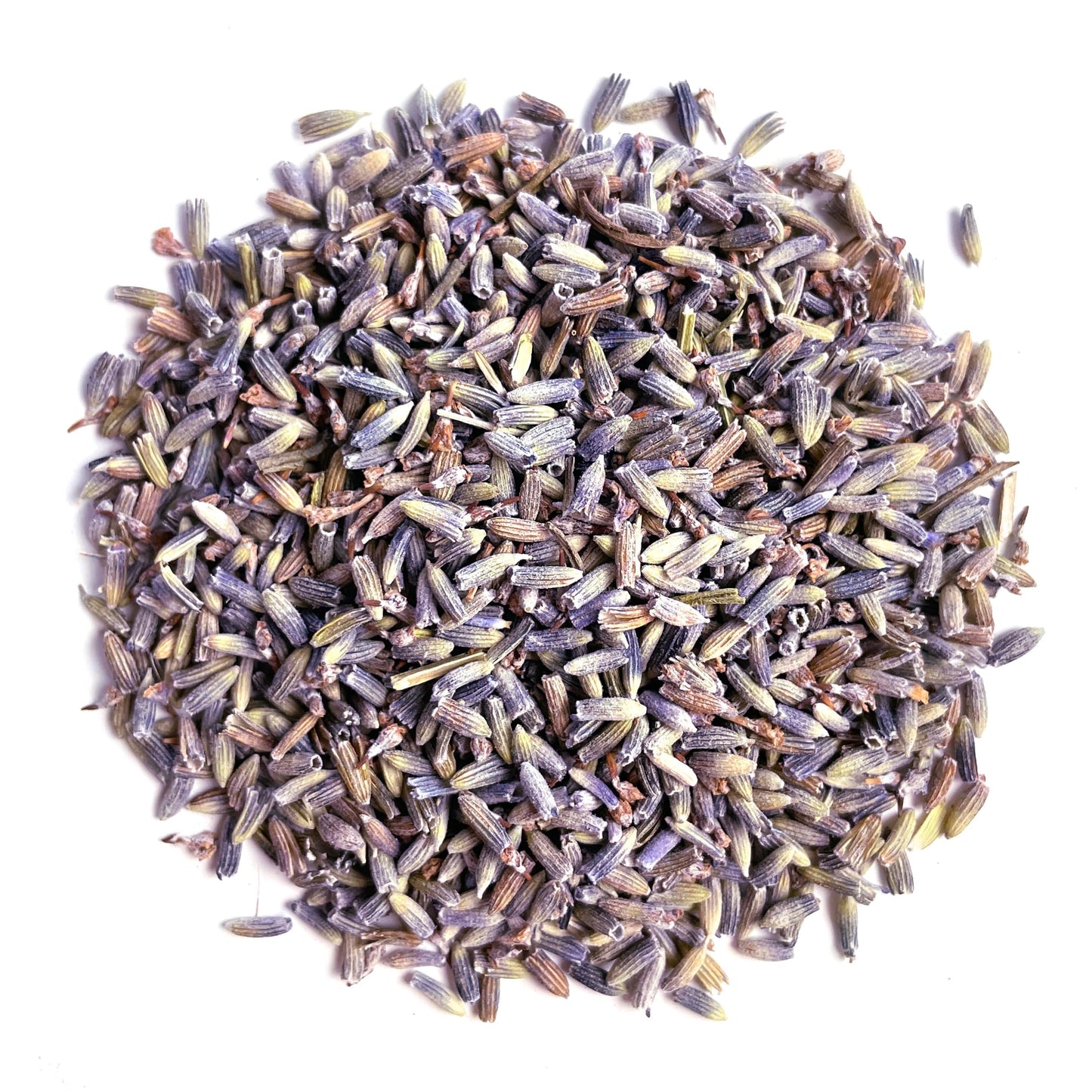 Organic Lavender Flower Whole, by Herb Co, Lavandula x Intermedia, Lavandin, from France, Kosher, for Tea, Baking, Hair, Skin, Cleaning, Crafts & Eau