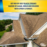 Spray & Forget 1-Gallon Concentrated Roof Cleaner