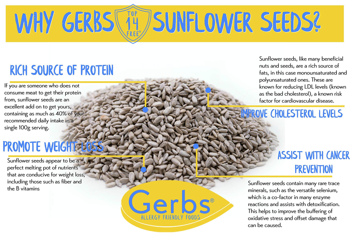 Sea Salted Sunflower Seed Kernels by Gerbs - 2 LBS - Top 11 Food Allergen Free & Non GMO - Product of USA - Premium Domestic Grade Dry Roasted Shelled
