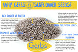 Sea Salted Sunflower Seed Kernels by Gerbs - 2 LBS - Top 11 Food Allergen Free & Non GMO - Product of USA - Premium Domestic Grade Dry Roasted Shelled