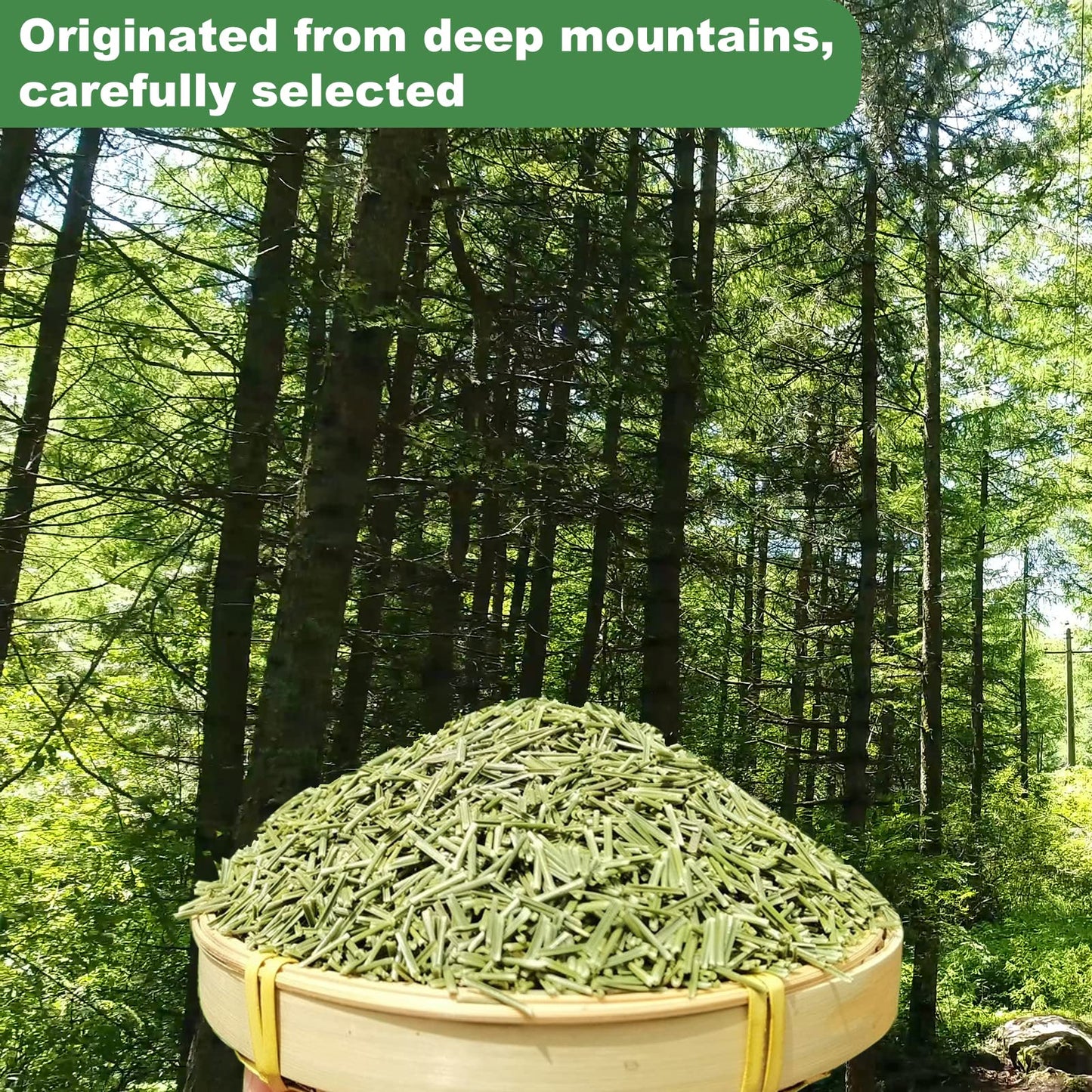 KASVAN Organic Pine Needle Tea (8.8 oz) - White Pine Needle Tea In Vitamin C And A,Easy To Use Suitable For Relaxation?immunity