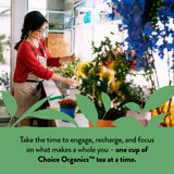 Choice Organic Teas Japanese Green Tea - Compostable - Contains Caffeine - 48 Organic Green Tea Bags (Pack of 3)