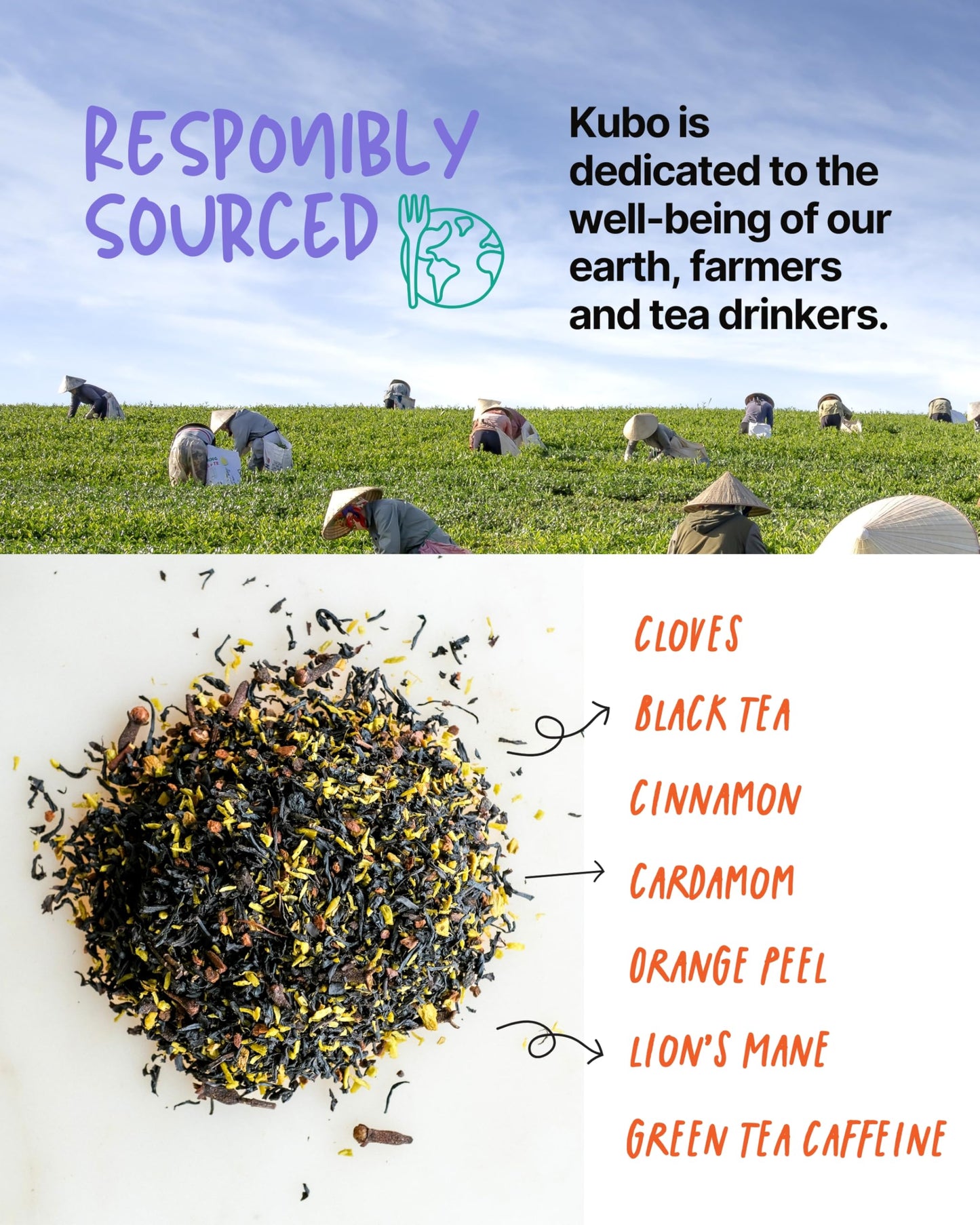 Kubo Lion’s Mane Chai Tea Bags | Organic High Caffeine (155mg) Black Tea + Lion’s Mane Mushroom | 20 Pyramid Count | Caffeinated Tea for Calm Focus