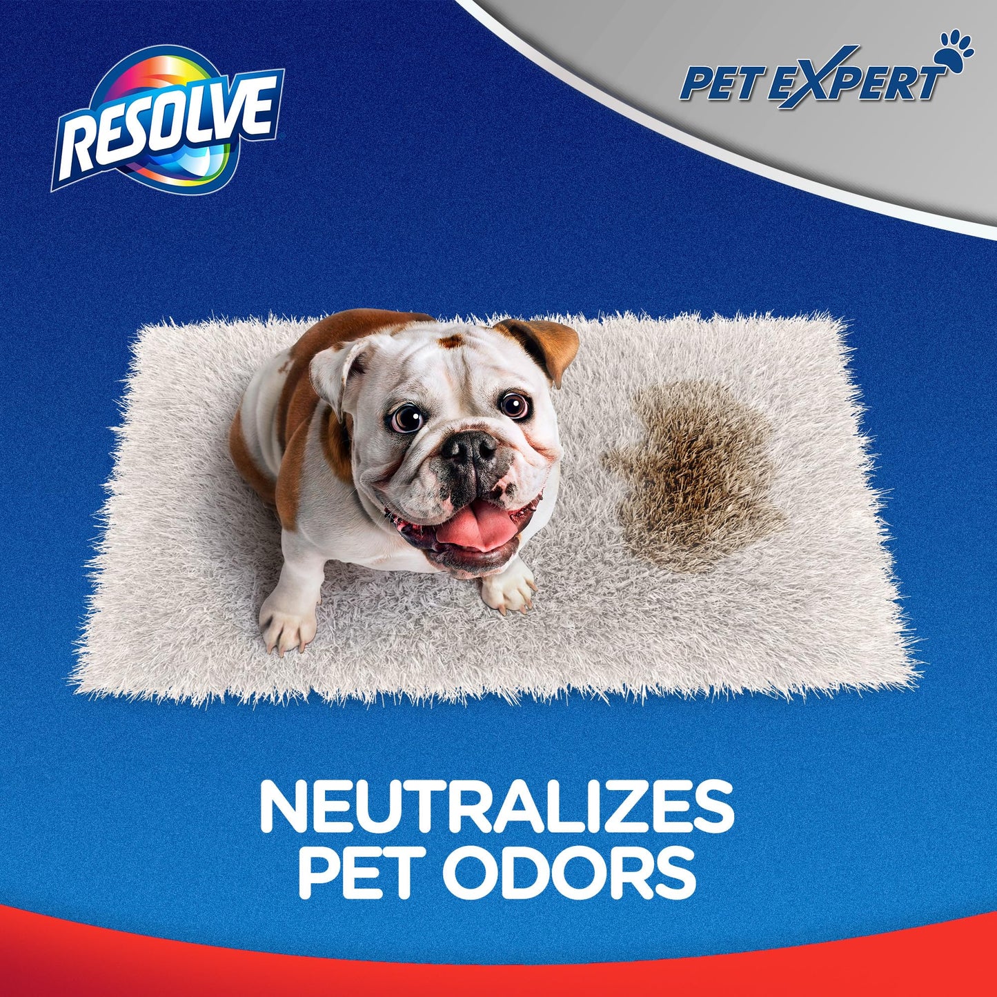 Resolve Pet Expert Easy Clean Carpet Foam Spray Refill, 2 Piece Set, Stain and Odor Remover Solution