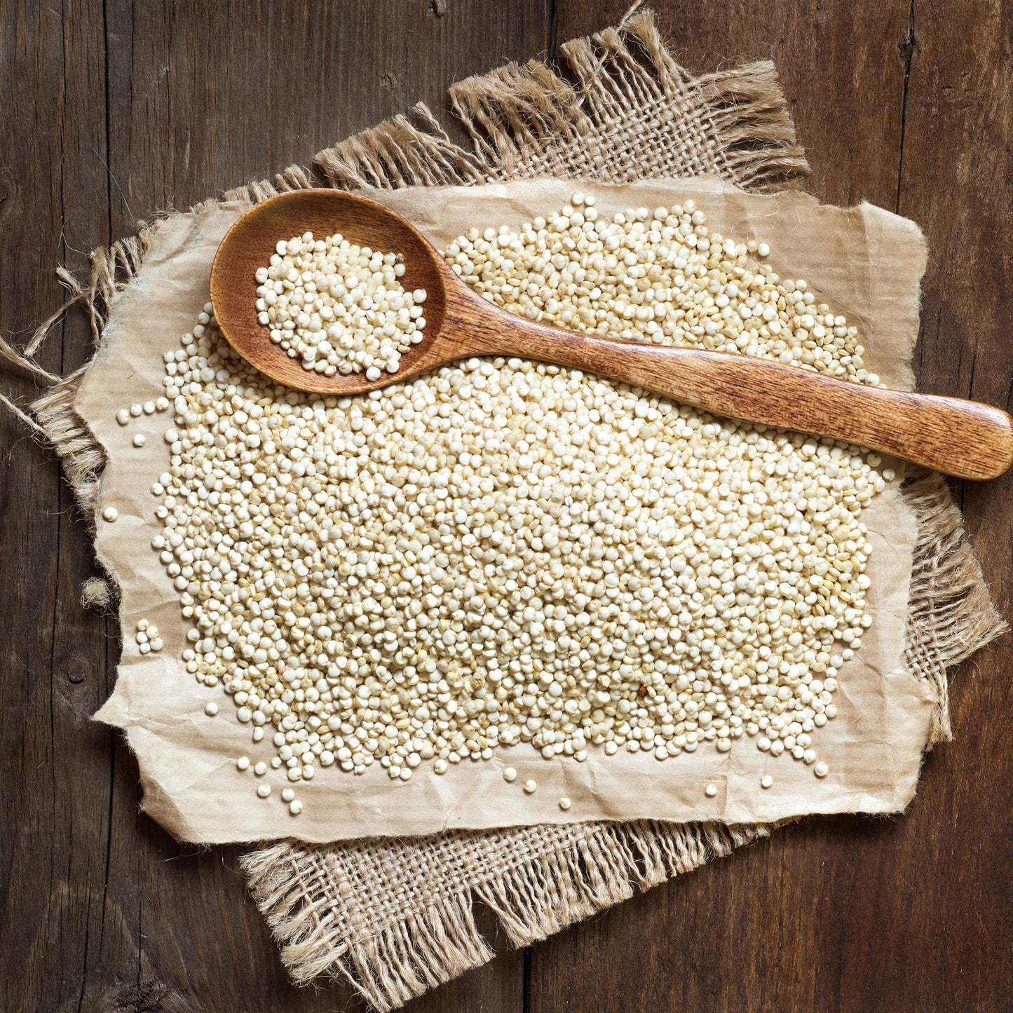 Earthborn Elements White Quinoa, 1 Gallon, Gluten-Free, Raw, Vegan, Packaged in a Resealable Bucket