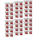 Marukawa Bubble Gum Strawberry 1.52oz (6 Pack)
