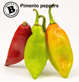 Bertie's Trinidad Pimento Sauce (17 Oz./500ml) | Adds Wonderful Flavour and Aroma Without The Heat to Dish | Season Your Meats And Vegetables