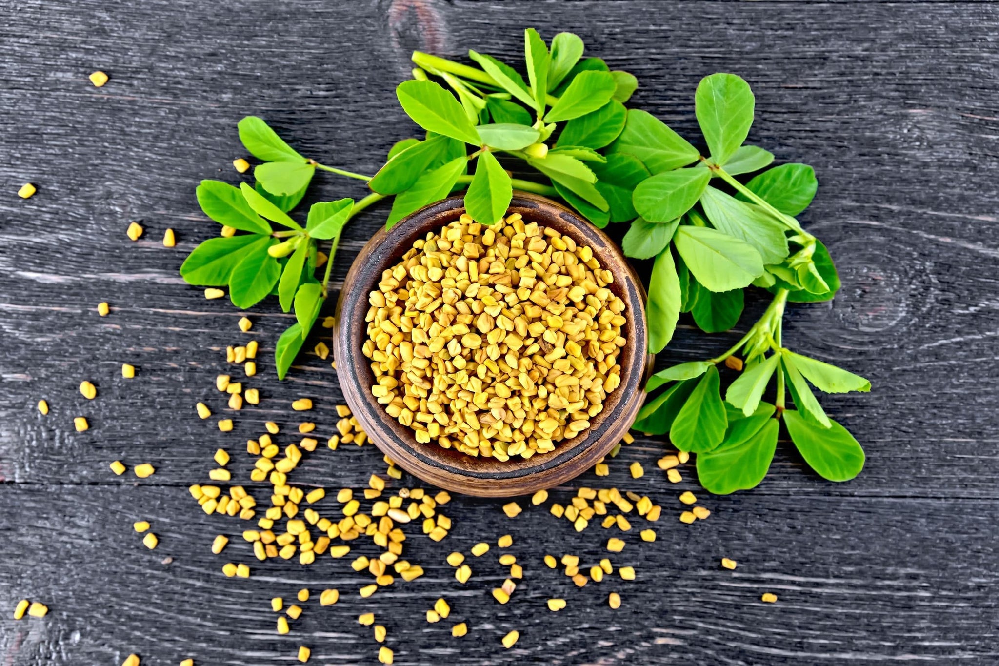 Food to Live Organic Fenugreek Seeds, 7.5 Pounds - Non-GMO, Raw, Whole Methi, Gluten Free, Kosher, Vegan, Bulk, Rich in Iron, Copper, Fiber