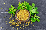 Food to Live Organic Fenugreek Seeds, 15 Pounds - Non-GMO, Raw, Whole Methi, Gluten Free, Kosher, Vegan, Bulk, Rich in Iron, Copper, Fiber