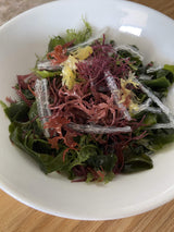 Kaneyama Seaweed Flower Salad 20g (Seaweed Flower Salad 20g 1 Pack)