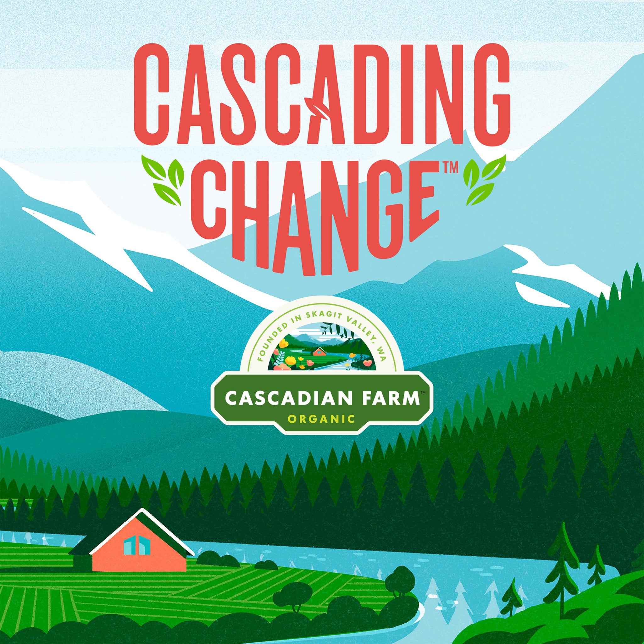 Cascadian Farm Vanilla Chip Granola Bar (6x7.4 oz.)