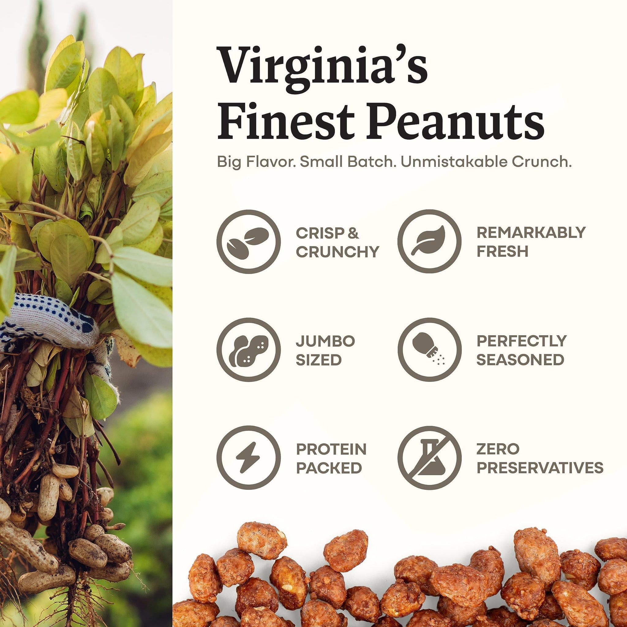 Belmont Peanuts Gourmet Butter Toffee Candied Peanuts, 25 oz (1 Pack) - Only 4 Ingredients, No Preservatives, 3g Protein - A Premium, Sweet, Buttery
