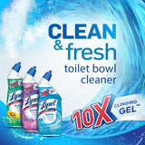 Lysol Power & Fresh Cling Toilet Bowl Cleaner Value Pack, Country Scent, 48 oz