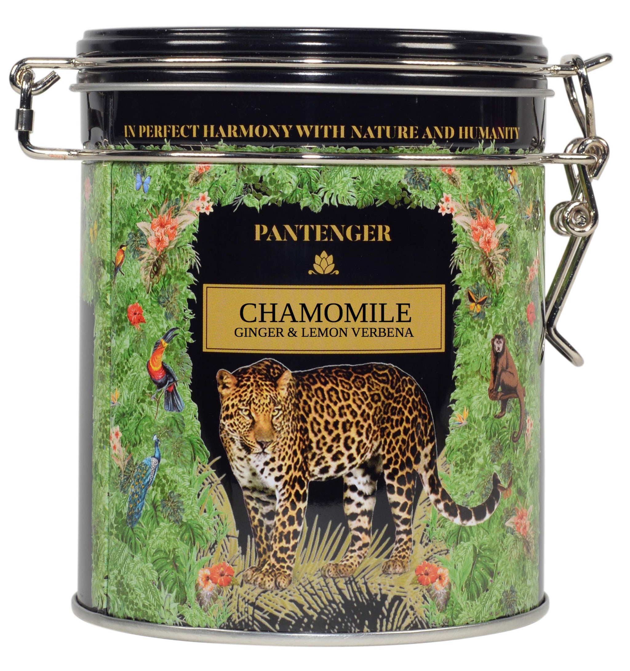 Organic German Chamomile & Ginger Herbal Tea | 20 Pyramid Bags | Calming and Digestive Caffeine Free Herbal Tea | By Pantenger