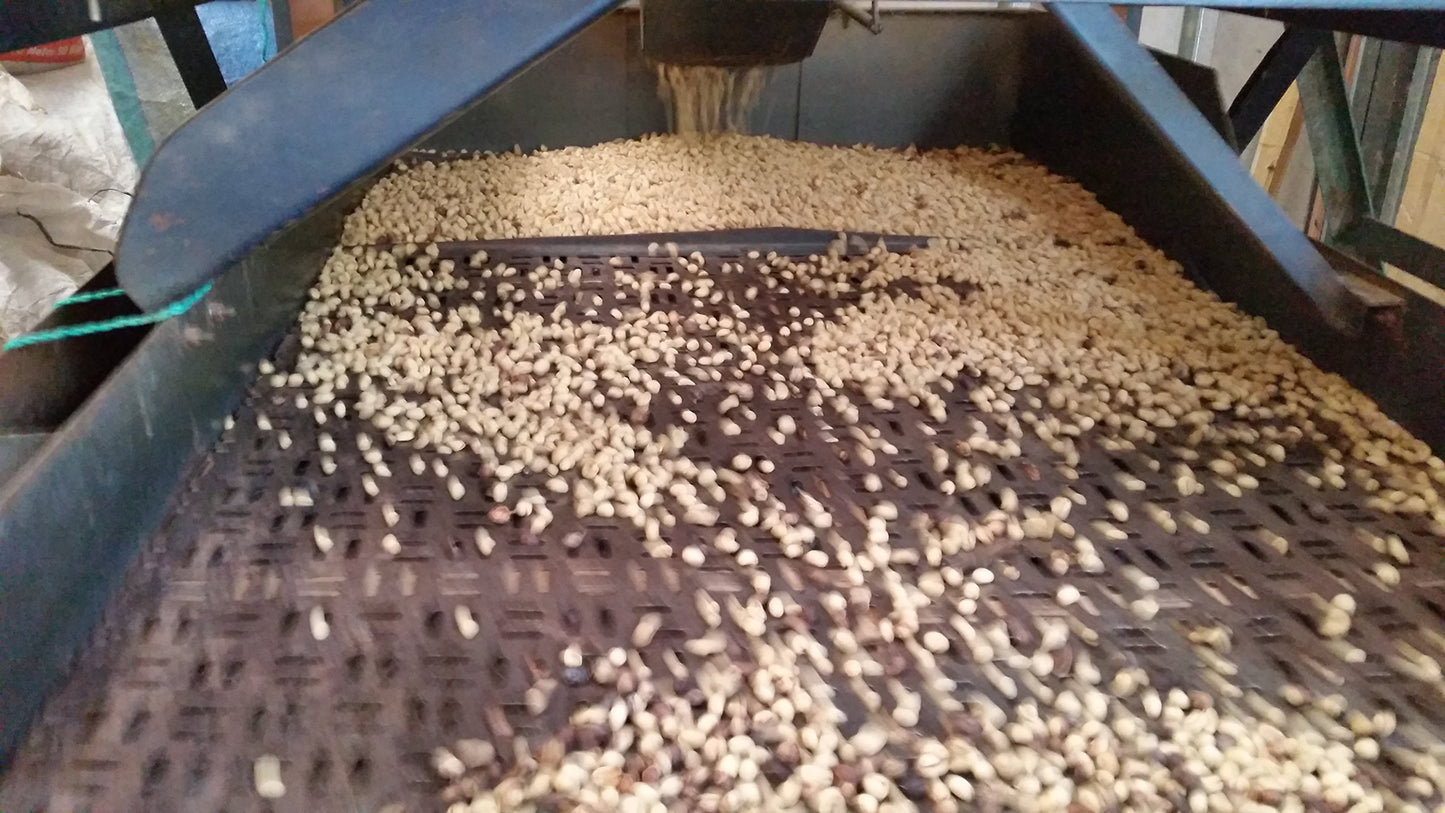 Unroasted Coffee Beans Single Origin Colombian Fram Los Pirineos (5 Lb)