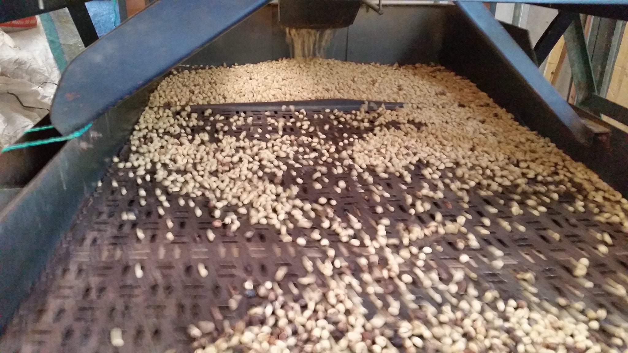 Unroasted Coffee Beans Single Origin Colombian Fram Los Pirineos (5 Lb)