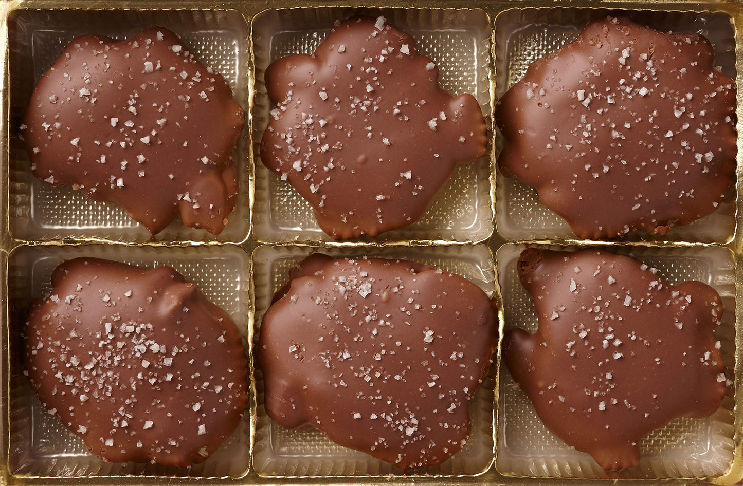 Milk Chocolate Salted Pecan Caramel Patties Muddy Paws